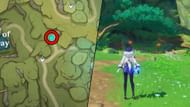 The map of this location and what it looks like in the game (Image via HoYoverse)